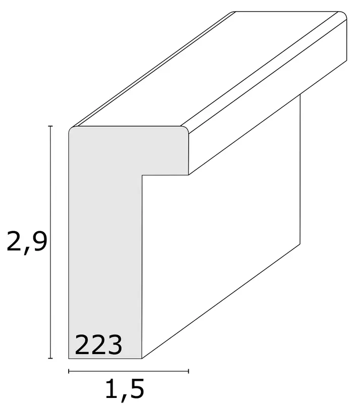 s223.webp