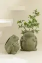 Cache-pot grenouille Argile Vert Small (21x21x25cm)