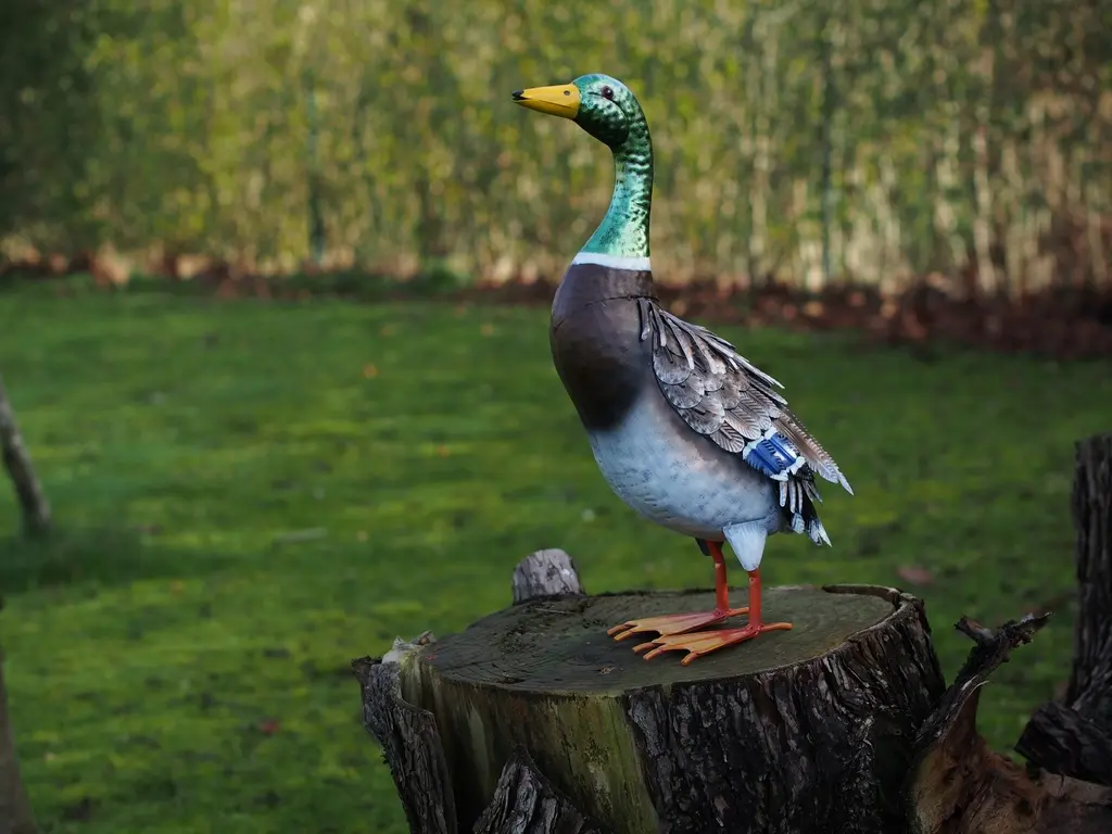 [MD18247] Canard debout métal
