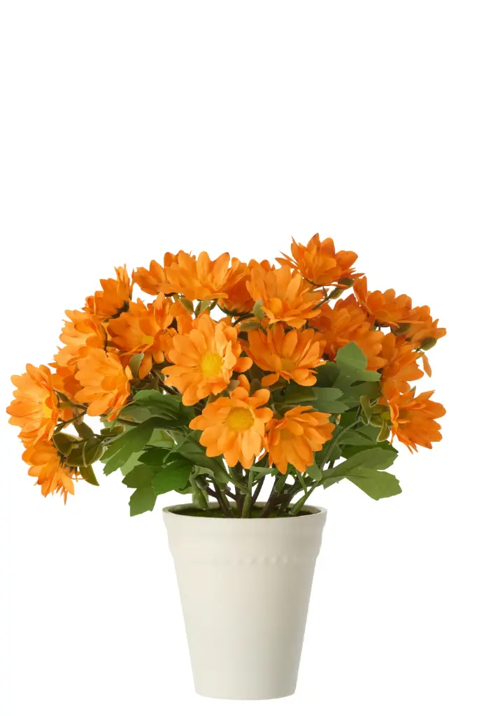 [63821] Marguerite Pvc Orange (15x15x21cm)
