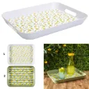 PLATEAU BAIN DE SOLEIL CITRON EN PP 41X32CM