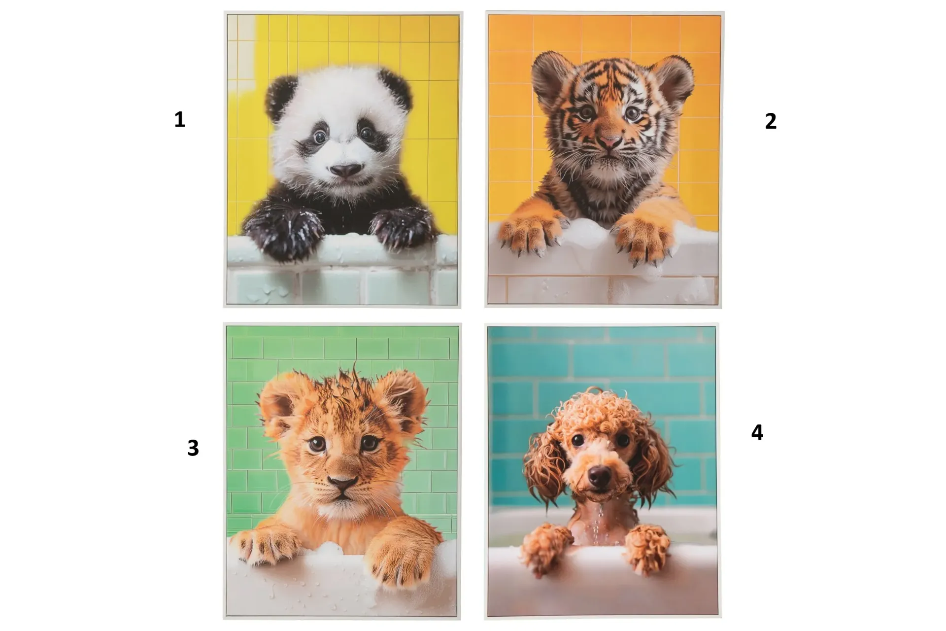 [62309] Cadre Animaux Toile Multicolore (40x50x2,2cm)